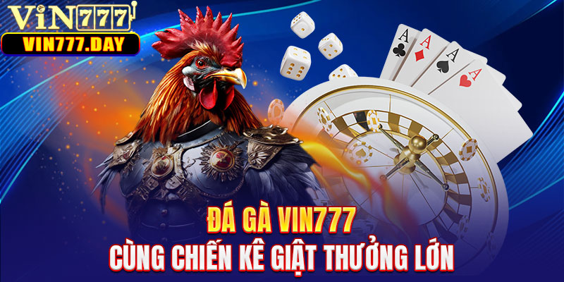 Đá gà VIN777 - Cùng chiến kê giật thưởng lớn