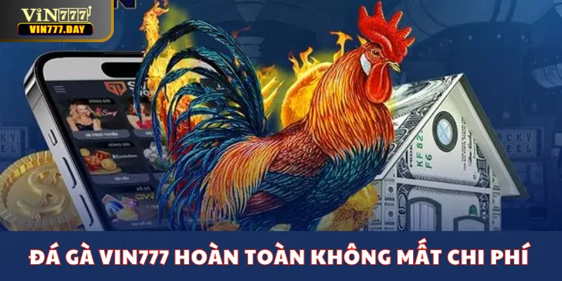 Đá gà tại sân chơi VIN777 hoàn toàn không mất chi phí gì