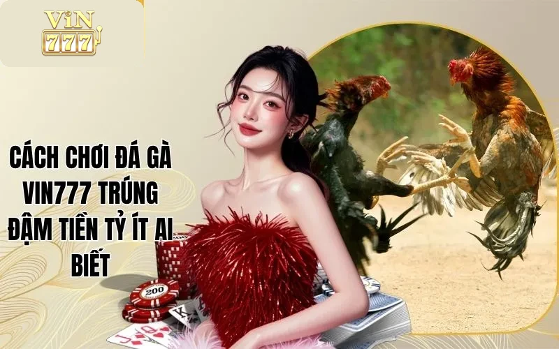 Cách Chơi Đá Gà Vin777 Trúng Đậm Tiền Tỷ Ít Ai Biết 1 Cách Chơi Đá Gà Vin777 Trúng Đậm Tiền Tỷ Ít Ai Biết