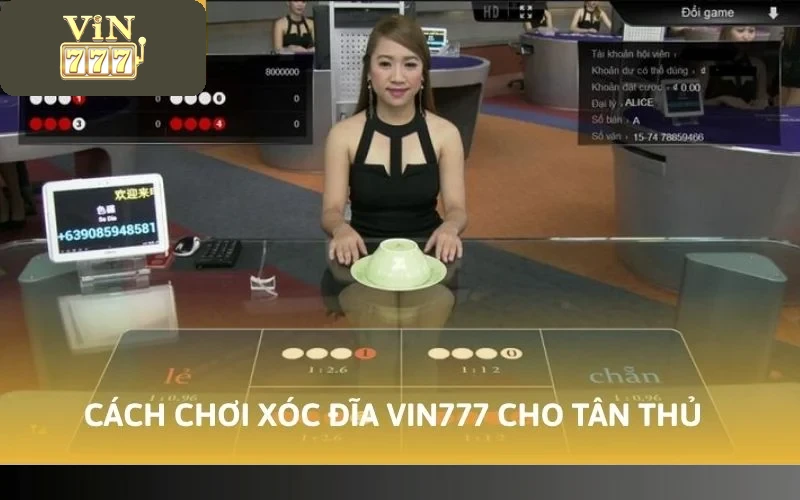 Cách Chơi Xóc Đĩa VIN777 - Giải Trí Mỗi Ngày Rinh Về Quà Lớn 3 Cách chơi xóc đĩa VIN777 cho tân thủ lần đầu cược